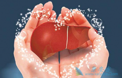 ת��ø�ϸ��ҳ��ָ���ά���ı������κ���