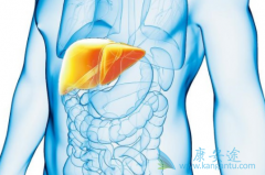 �Ҹδ������ܻ������Ƿ���������кܴ��ϵ