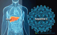 �����ܳ����κ����ǳԼ��������Ǽ�������