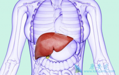 ��������֢״����η���ʱ��֢״��ʲô��ͬ��