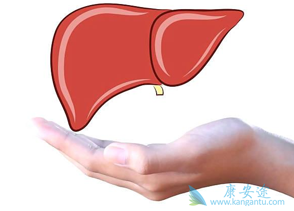 恩替卡韦 恩替卡韦