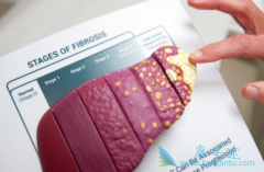 ���λᴫȾ�𣿱��λ������ӻὫ������Ⱦ����һ����