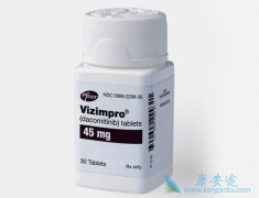 ������ᣨVizimpro��Ŀǰ����һ�����Ʒ�Сϸ���ΰ�������