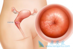 ����������˳�����ÿ���߹���������ʺͷ�Ӧ��