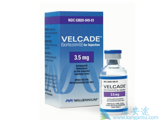 武田制药 武田制药