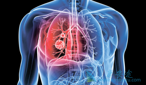 布吉他滨 布吉他滨