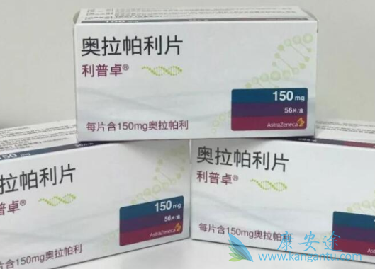 PARP抑制剂 PARP抑制剂