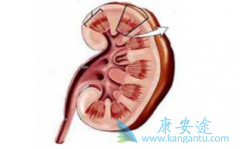 �����������ܻ��ã��������������ӳ�����ʱ����