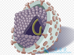 ���ε�Σ���뻼���Ƿ��б���֢״û�й�ϵ��