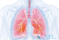 �������������ڷ�Сϸ���ΰ�����ĸ���������