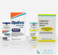 PD-1���Ƽ�Opdivo��Ƚ϶���������ɼ���Ȼ���ҩ�����Ч��ô����