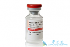 �����鵥�����������鵥������ɼ����HER2�������ٰ���һ�����Ʒ���