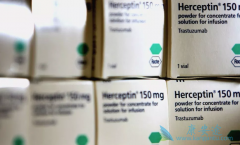 1��������鵥������������Ȼ������HER2�������ٰ��ı�׼ѡ�񷽰�