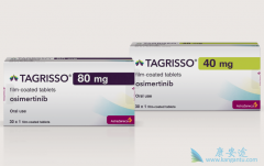 �����׷�����ת�Ƶ�EGFRͻ�仼�߳��ο�ʹ�ð�ϣ��������