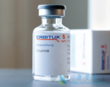 ����������(erbitux)��ָ���Ƽ���ת���Խ�ֱ������ѡҩ��