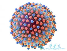 ���β�����ô�����������ı��δ���;������Щ��