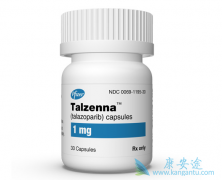 ����PARP���Ƽ����������ᣨtalazoparib������������򵽣�