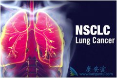 ��Сϸ���ΰ��ĳ�������ҩ������Щ��