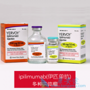 CTLA-4������ƥ����(Yerovy)���ܰ�������Ч��ô����