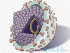 ���˱����ܻ��ã����ͨ������֢״�жϲ��飿