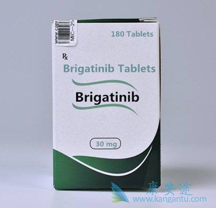 布加替尼 布加替尼