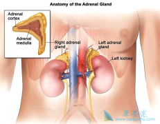 ������Ƥ�ʰ��Ĳ����ٴ����ֱַ���ʲô��