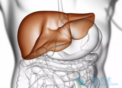 �Ҹδ�������Ҫ�����𣿸���ô���ƣ�