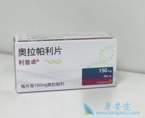 PARP抑制剂 PARP抑制剂