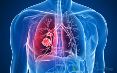 �������/�����������EGFR�ΰ�һ��ҩ�������Щ�ر�֮����