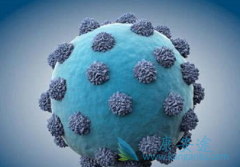 ���ο����Ѿ������ԵĻ��߻����ٶȸ�Ⱦ���β�����