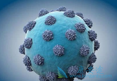 丙肝病毒 丙肝病毒