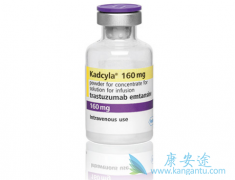 T-DM1�������鵥�������鵥��˫���������ĸ�����Ч���ã�