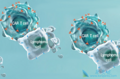 CAR-T������ϸ�������Ʒ�������Ͽɵ�