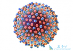 ���ӱ����׵�����֢״û�м�ʱ���ƿ��ܻ������ЩΣ���أ�