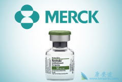 PD-1���Ƽ�Kҩ��Oҩ�ֱ����������Щ��֢���ߣ�