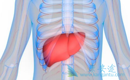 丙肝的危害 丙肝的危害