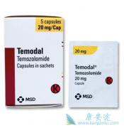 ��Ī��(temozolomide)����������ϸ������