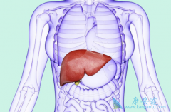 ���еı��ο������Ի��߶���Ҫ������ҽԺ����������