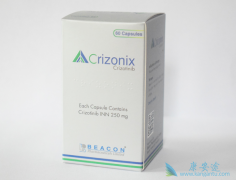 �����Կ���������ҩ�Ļ��߻����ڶ�����ALK���Ƽ����ƺ���