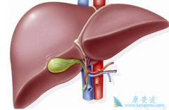 �Ҹλ��߷��ÿ�����ҩ��֮���ò���ͣҩ��