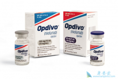 Opdivo��Eliquis��Ŀǰʩ�󱦹�˾����Ҫ������Դ
