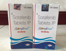 ӡ�ȶ༪��/�������ᵽ���м��ְ�װ���