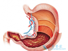 ̩����/�����鵥��������θ��������Ч��ô����