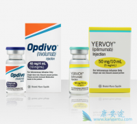 PD-1���Ƽ�Oҩ�����й���֢���ߵ���Ч��ô����