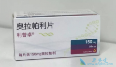 Ŀǰ�������е�PARP���Ƽ����˰��������⻹��«����������������