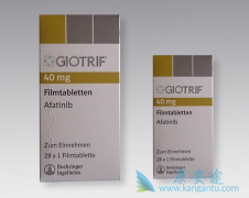 �������ḱ������ǿ�ҵ�����NSCLC���껼�ߵĶ����ǿɽ��ܵ�