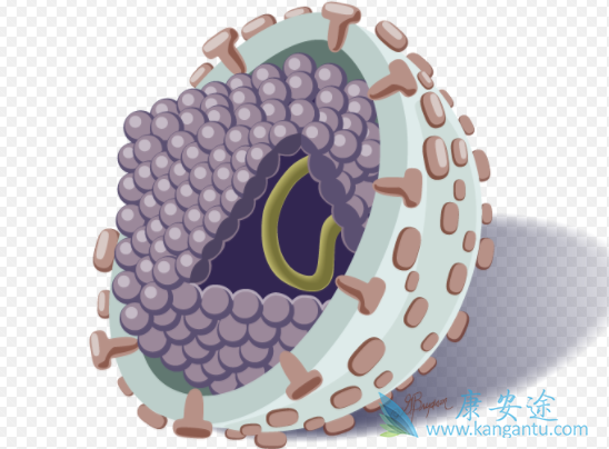 丙肝的症状 丙肝的症状