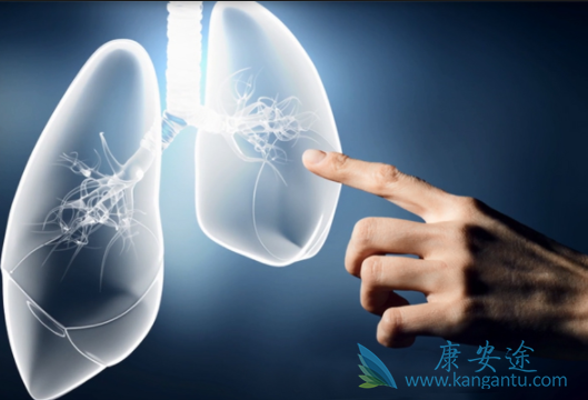 小细胞肺癌 小细胞肺癌