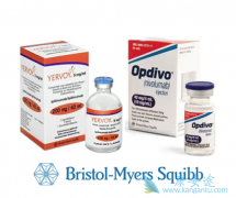Opdivo����Yervoy��������Сϸ���ΰ�������