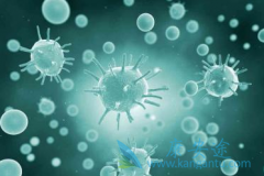 �Ҹ���ҩTAF��ӡ��Ҳ�����˷��ư汾TAF(HepBest)